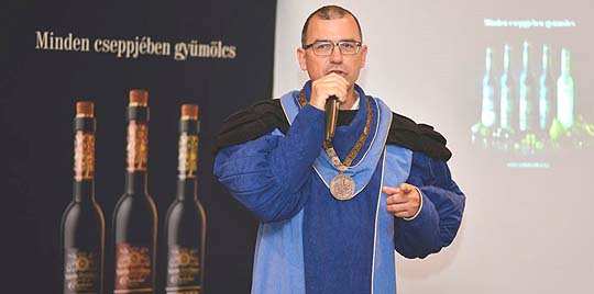 Csobolya Várda Drink